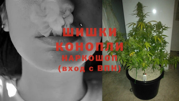 таблы Белокуриха
