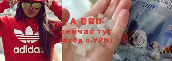таблы Белокуриха