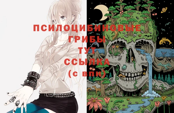 таблы Белоозёрский