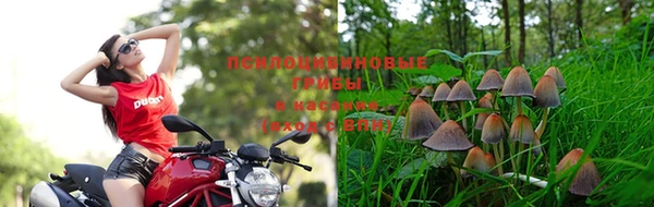 MDMA Беломорск