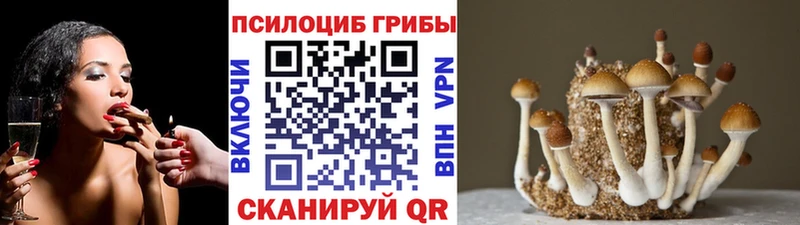 Галлюциногенные грибы прущие грибы  закладка  Йошкар-Ола 